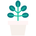 ficus icon