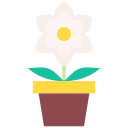 gardenia icon