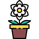 gardenia icon