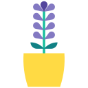 lavanda icon