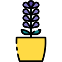 lavanda icon