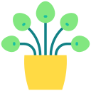 pilea icon