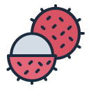 rambután icon