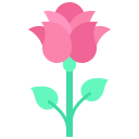 rosa icon