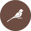 pájaro icon