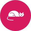 gato icon