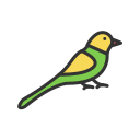 pájaro icon