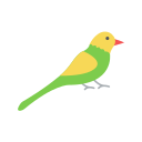 pájaro icon