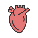 corazón icon