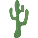 cactus icon