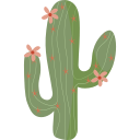 cactus icon