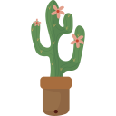 cactus icon