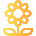 girasol icon