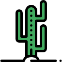 cactus icon