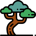 Árbol icon