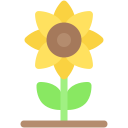 girasol icon