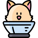 gato icon