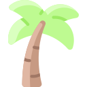 palmera