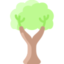 Árbol