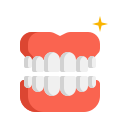 dentadura postiza icon