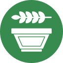 carbohidratos icon