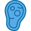 dieta paleo icon