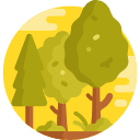 bosque icon