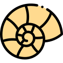 caracol de mar icon