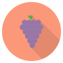 fruta icon