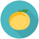 fruta icon