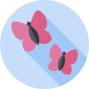 mariposa icon