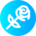 rosa icon