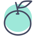 fruta icon