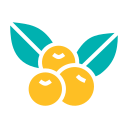 fruta icon