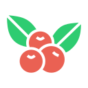 fruta icon