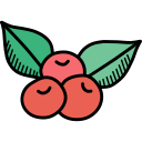 fruta icon