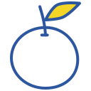 fruta icon