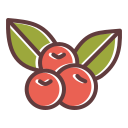 fruta icon