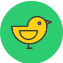 pájaro icon