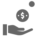 dólar icon