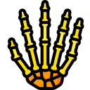 esqueleto icon