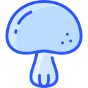 champignon icon