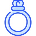 anillo icon