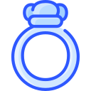 anillo icon