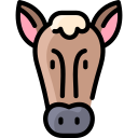 caballo icon