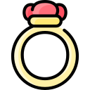 anillo icon