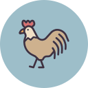 pollo icon