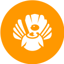 pavo icon