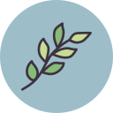 naturaleza icon