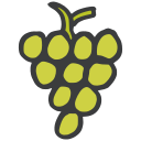 fruta icon